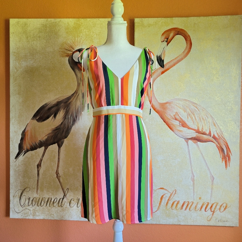 NWT Gianni Bini Candy Stripe Rainbow Sun Dress 4 Sleeveless V Neck Bow